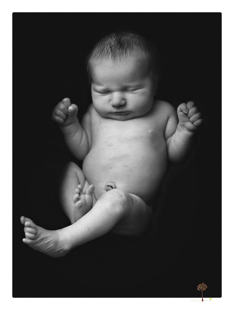 Best Sonora newborn photographer Christine Dibble Photography takes newborn portraits in her studio of a new baby sister and her big brothers and parents.