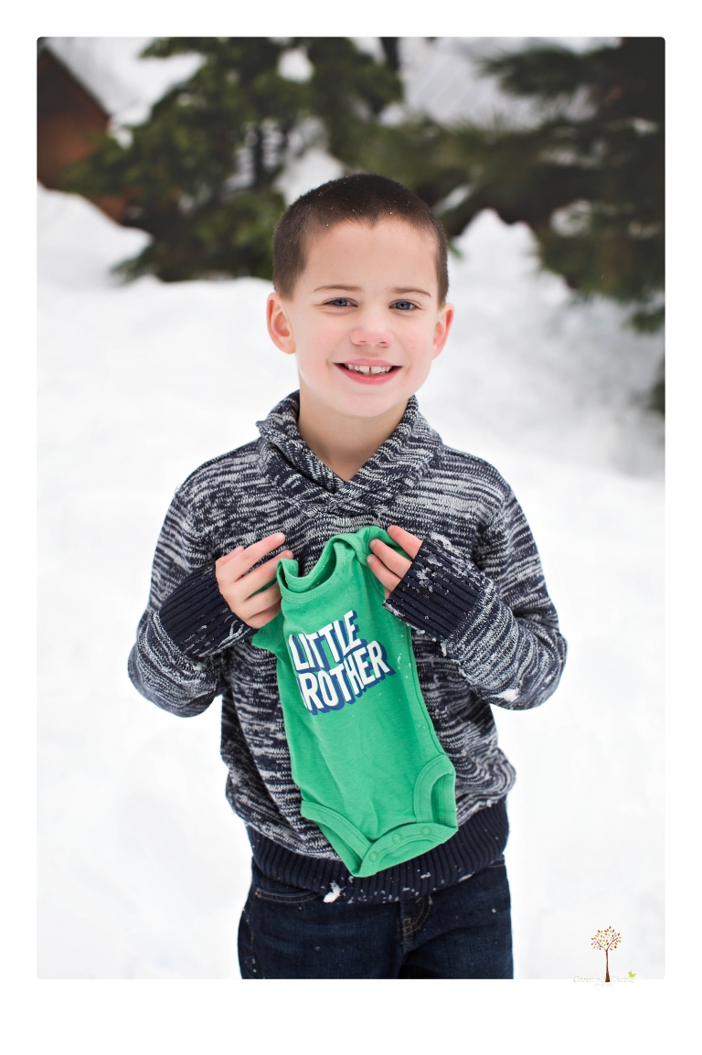 Sonora maternity photographer Christine Dibble Photography photographs a gender reveal session with colored smoke bombs in Long Barn in the snow.