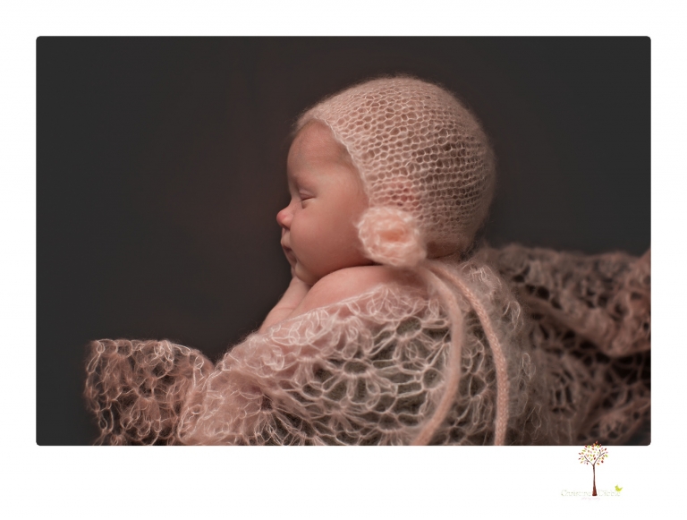 Sonora newborn photographer Christine Dibble Photography photographs a newborn baby girl in a bird's nest built just for her.