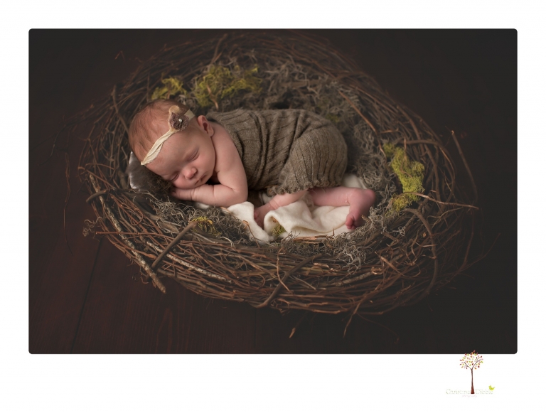 Sonora newborn photographer Christine Dibble Photography photographs a newborn baby girl in a bird's nest built just for her.