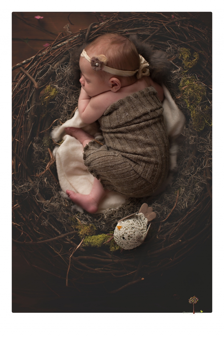 Sonora newborn photographer Christine Dibble Photography photographs a newborn baby girl in a bird's nest built just for her.