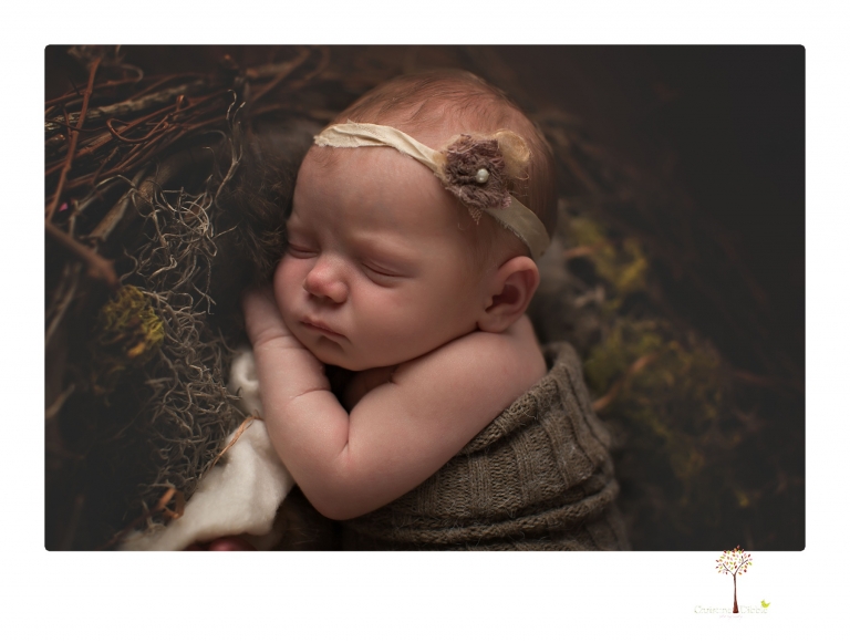 Sonora newborn photographer Christine Dibble Photography photographs a newborn baby girl in a bird's nest built just for her.