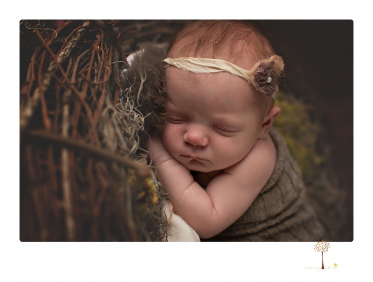 Sonora newborn photographer Christine Dibble Photography photographs a newborn baby girl in a bird's nest built just for her.