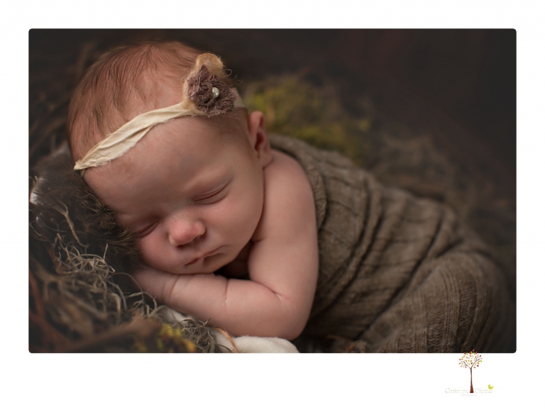 Sonora newborn photographer Christine Dibble Photography photographs a newborn baby girl in a bird's nest built just for her.