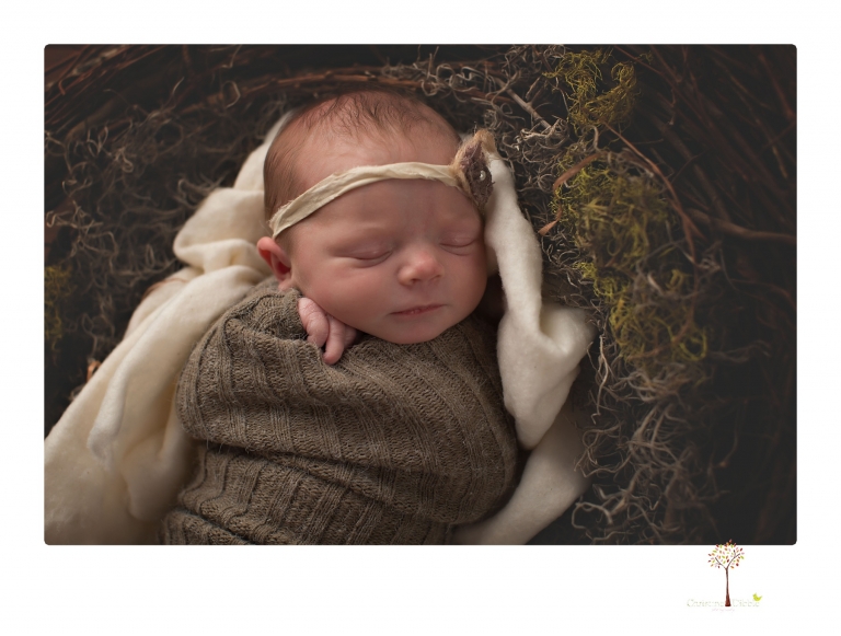 Sonora newborn photographer Christine Dibble Photography photographs a newborn baby girl in a bird's nest built just for her.