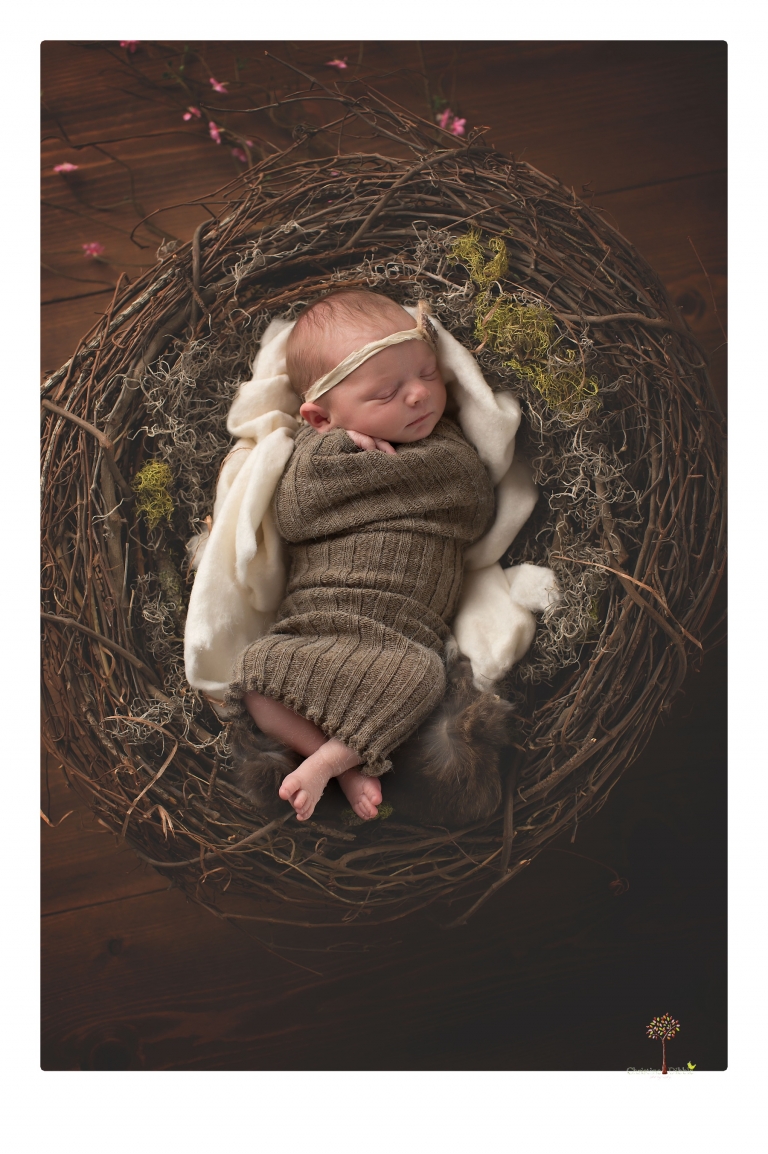 Sonora newborn photographer Christine Dibble Photography photographs a newborn baby girl in a bird's nest built just for her.