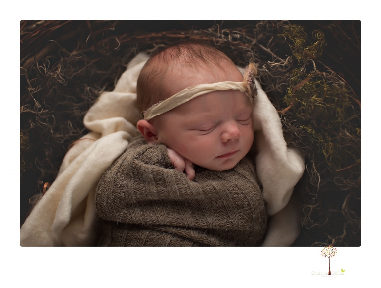 Sonora newborn photographer Christine Dibble Photography photographs a newborn baby girl in a bird's nest built just for her.