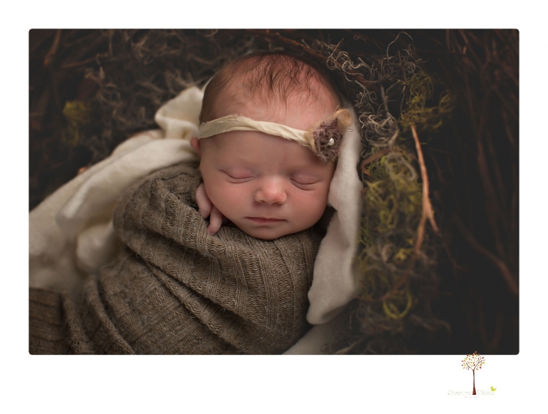 Sonora newborn photographer Christine Dibble Photography photographs a newborn baby girl in a bird's nest built just for her.