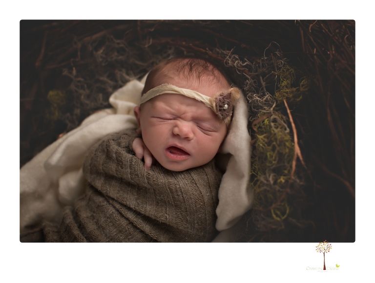 Sonora newborn photographer Christine Dibble Photography photographs a newborn baby girl in a bird's nest built just for her.