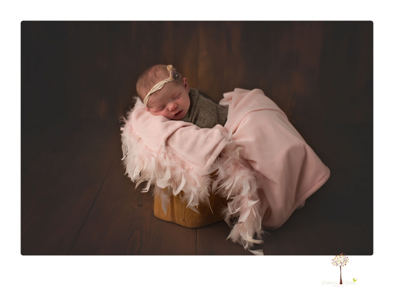 Sonora newborn photographer Christine Dibble Photography photographs a newborn baby girl in a bird's nest built just for her.