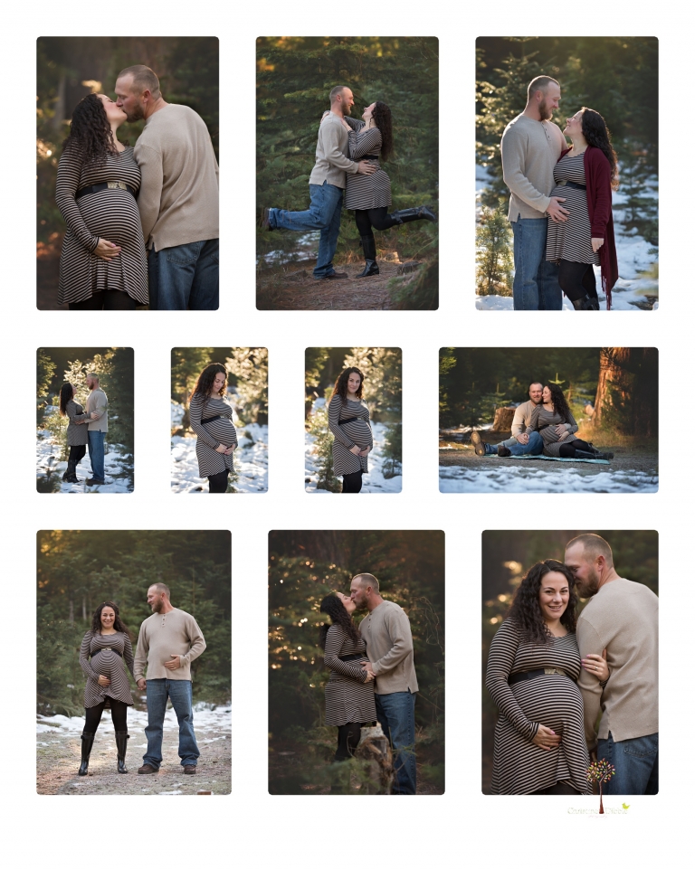 Sonora family photographer Christine Dibble Photography takes family and maternity portraits during her annual Twain Harte Tree Farm mini sessions in December.