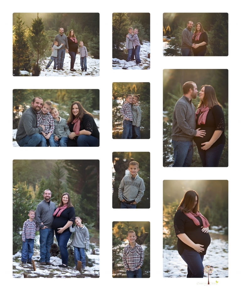 Sonora family photographer Christine Dibble Photography takes family and maternity portraits during her annual Twain Harte Tree Farm mini sessions in December.