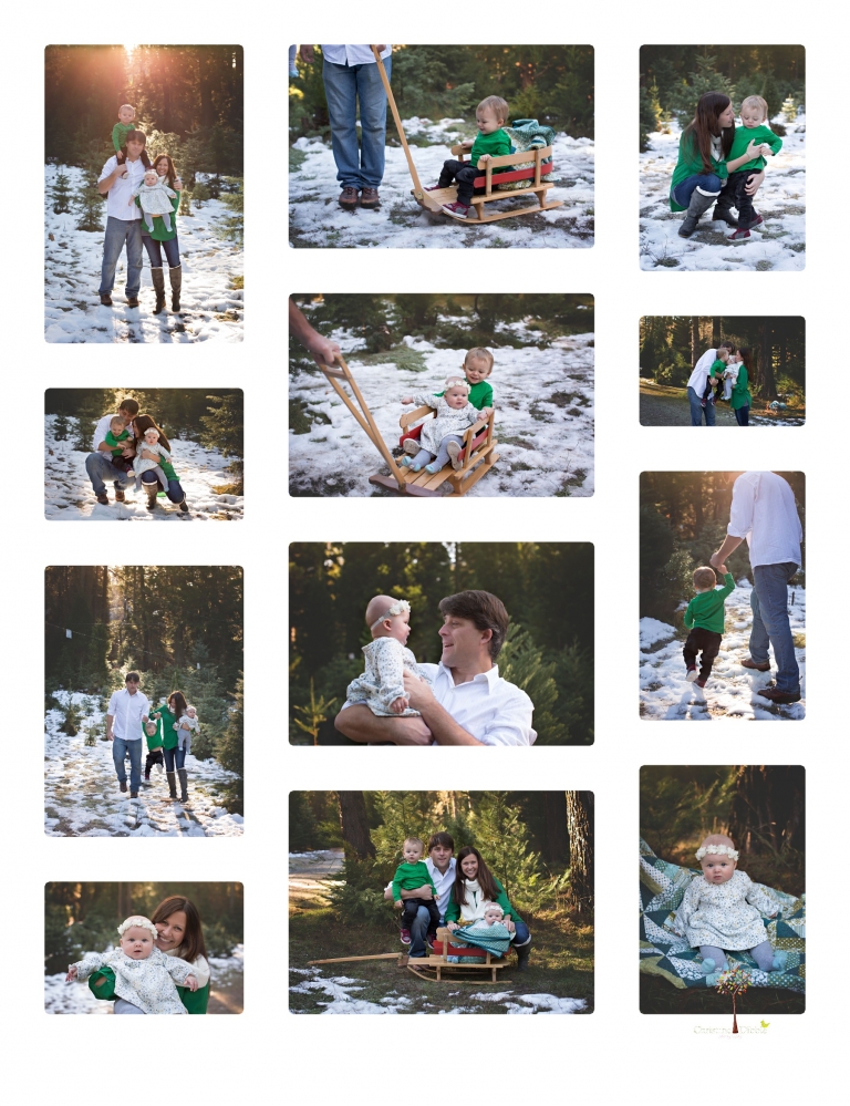 Sonora family photographer Christine Dibble Photography takes family and maternity portraits during her annual Twain Harte Tree Farm mini sessions in December.