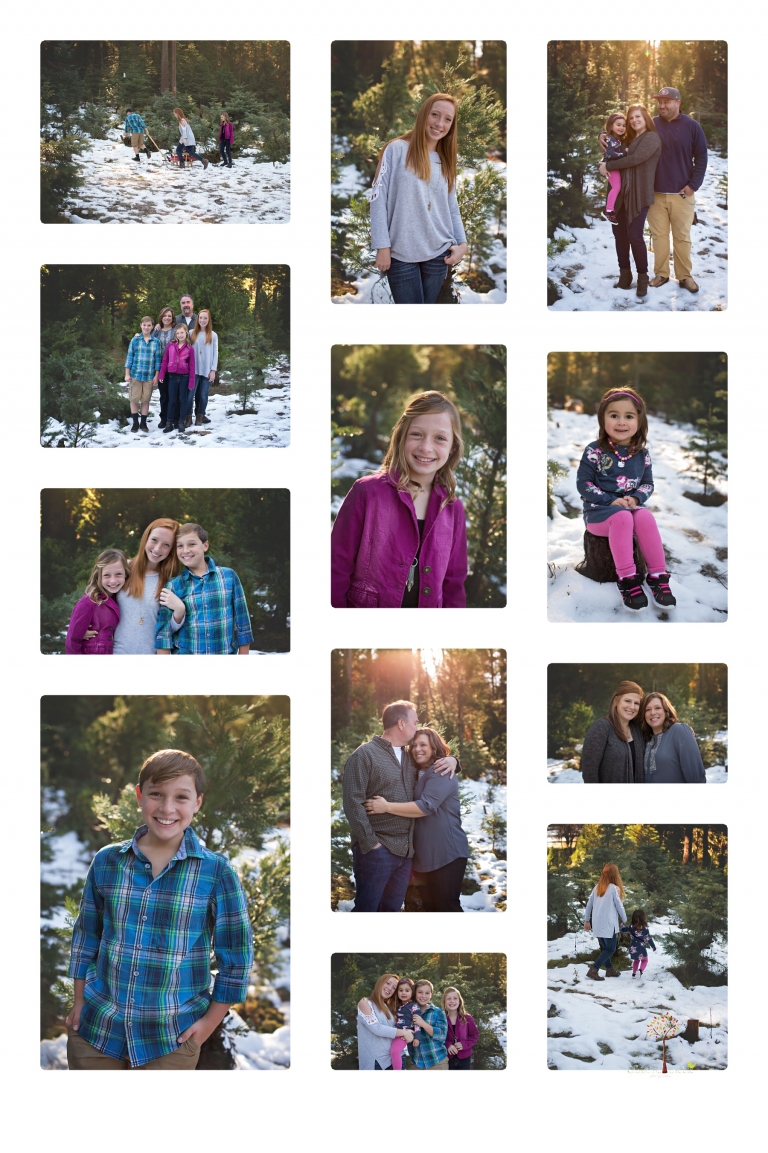 Sonora family photographer Christine Dibble Photography takes family and maternity portraits during her annual Twain Harte Tree Farm mini sessions in December.