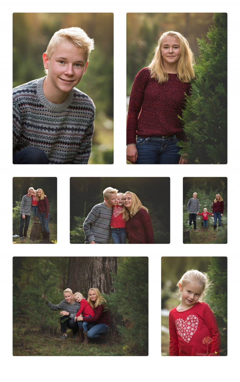 Sonora family photographer Christine Dibble Photography takes family and maternity portraits during her annual Twain Harte Tree Farm mini sessions in December.