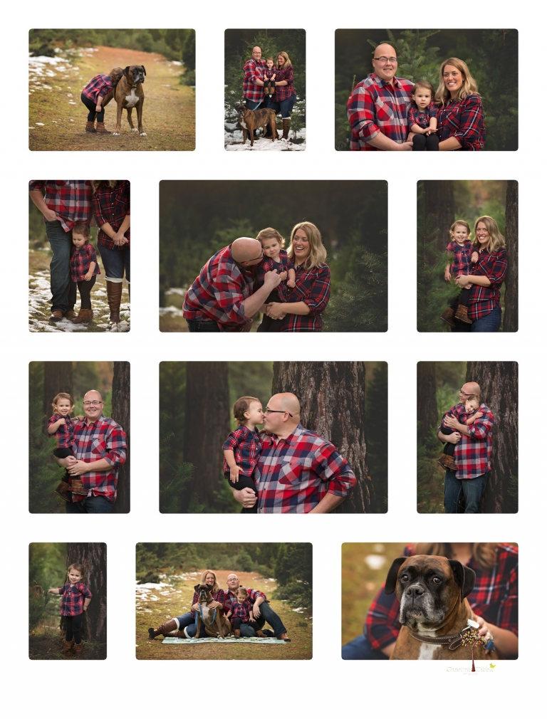 Sonora family photographer Christine Dibble Photography takes family and maternity portraits during her annual Twain Harte Tree Farm mini sessions in December.