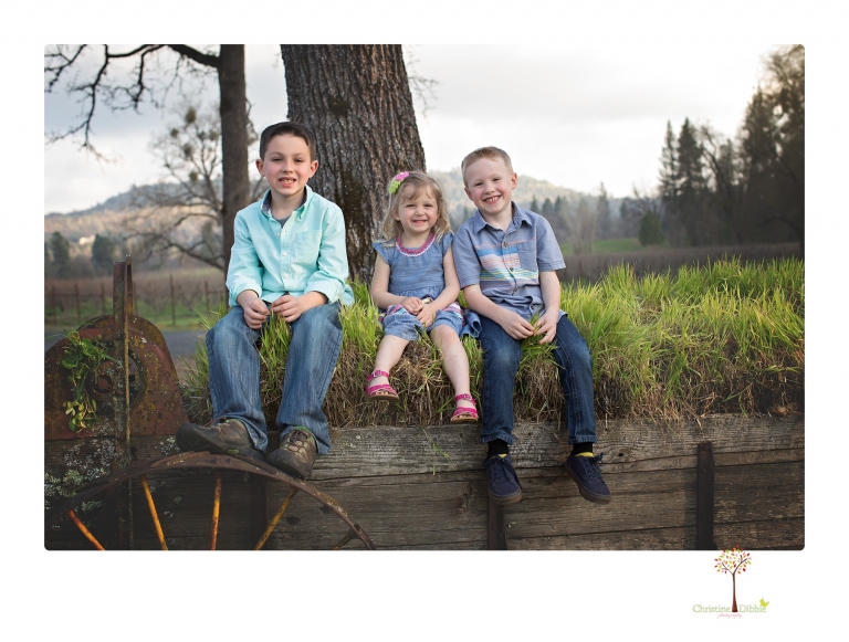 This Indigeny family portrait session, photographed by Christine Dibble Photography of Sonora, included lots of play and group hugs and running around for natural and relaxed family portraits.