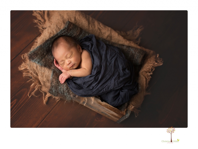 Sonora newborn photography by Christine Dibble Photography includes studio newborn portraits of family and baby.
