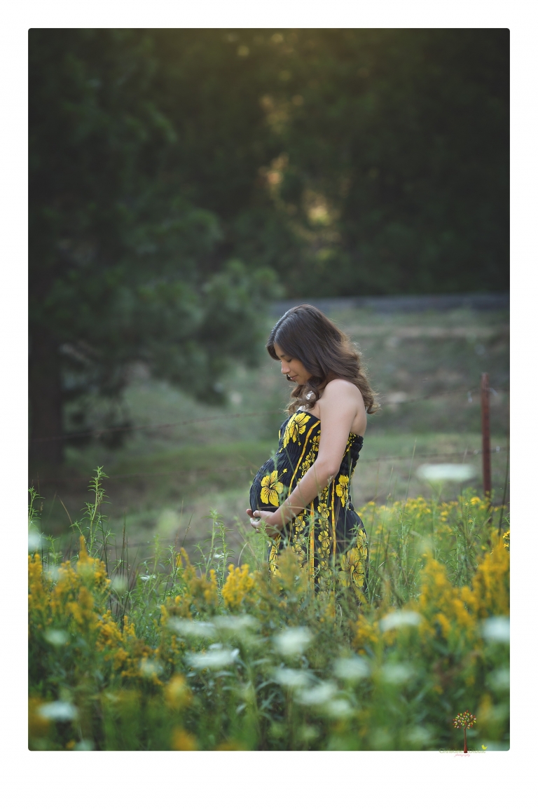 Sonora Maternity Photographer Christine Dibble Photography photographs a maternity session in a flower field.