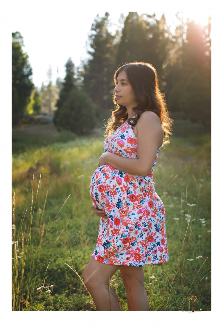 Sonora Maternity Photographer Christine Dibble Photography photographs a maternity session in a flower field.