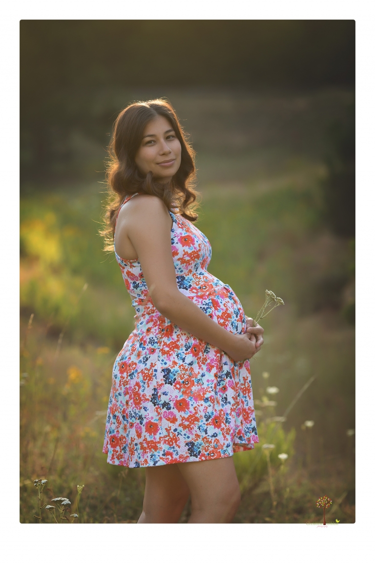 Sonora Maternity Photographer Christine Dibble Photography photographs a maternity session in a flower field.