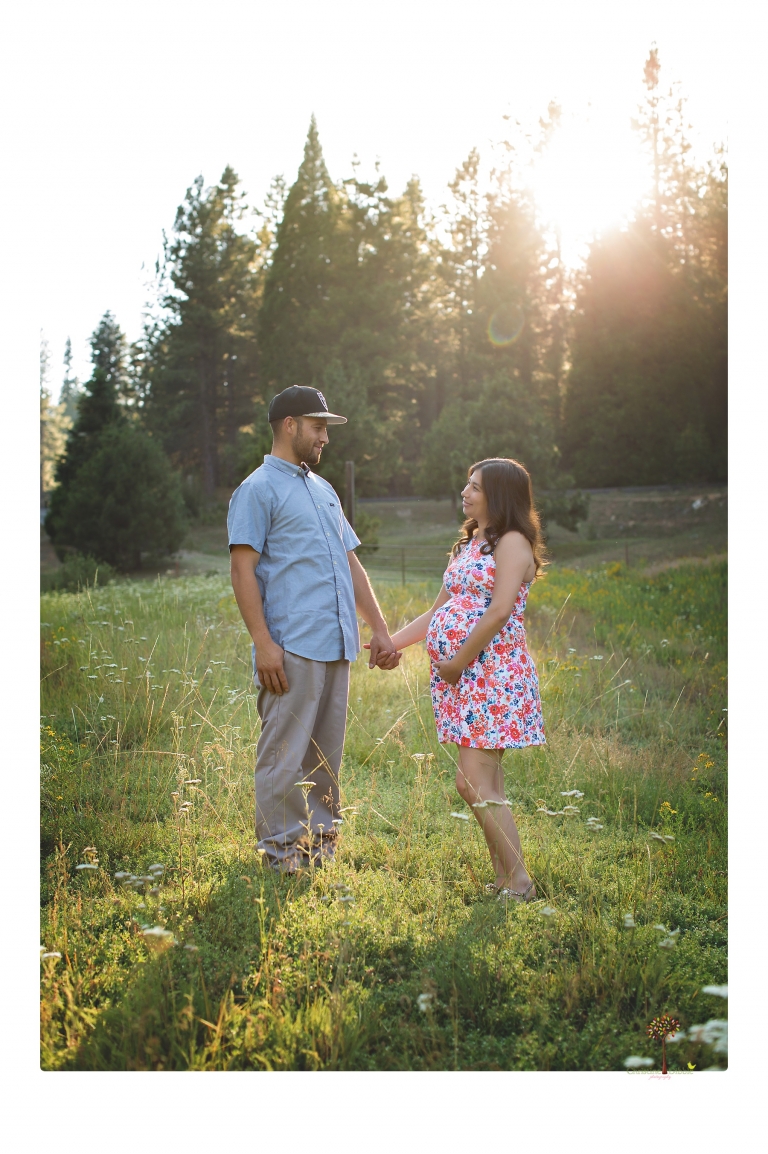 Sonora Maternity Photographer Christine Dibble Photography photographs a maternity session in a flower field.