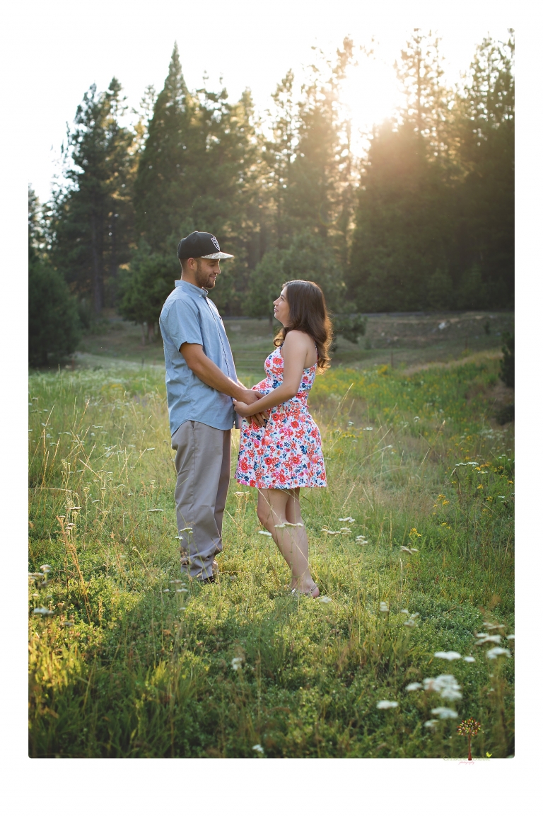 Sonora Maternity Photographer Christine Dibble Photography photographs a maternity session in a flower field.