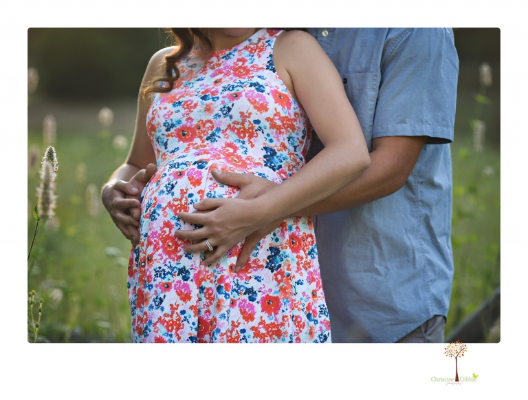 Sonora Maternity Photographer Christine Dibble Photography photographs a maternity session in a flower field.
