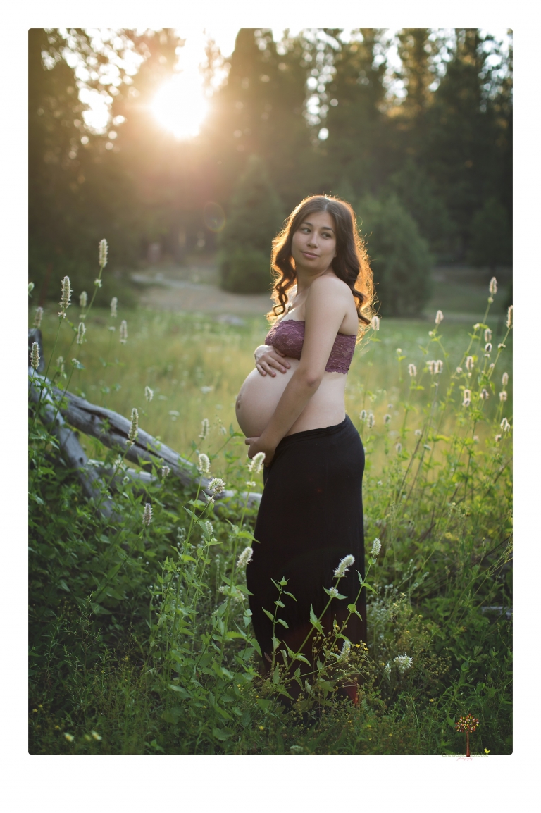Sonora Maternity Photographer Christine Dibble Photography photographs a maternity session in a flower field.