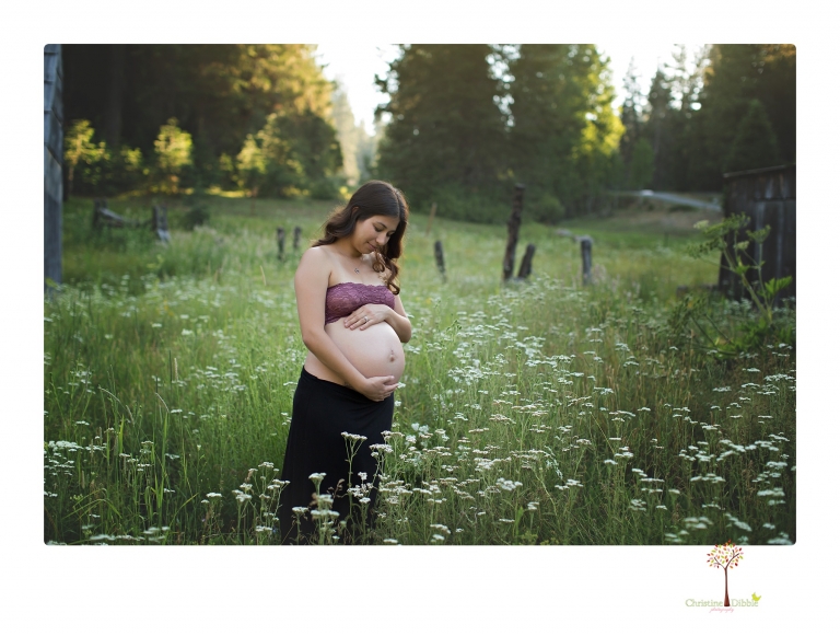 Sonora Maternity Photographer Christine Dibble Photography photographs a maternity session in a flower field.