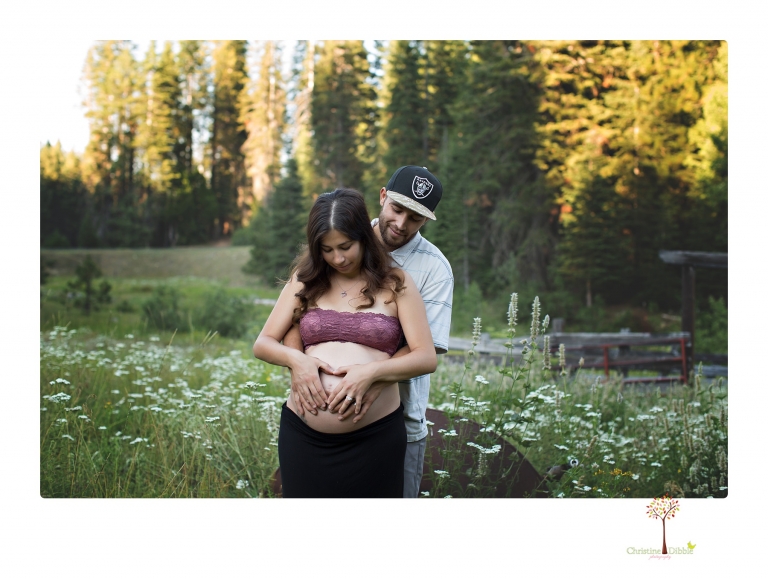 Sonora Maternity Photographer Christine Dibble Photography photographs a maternity session in a flower field.
