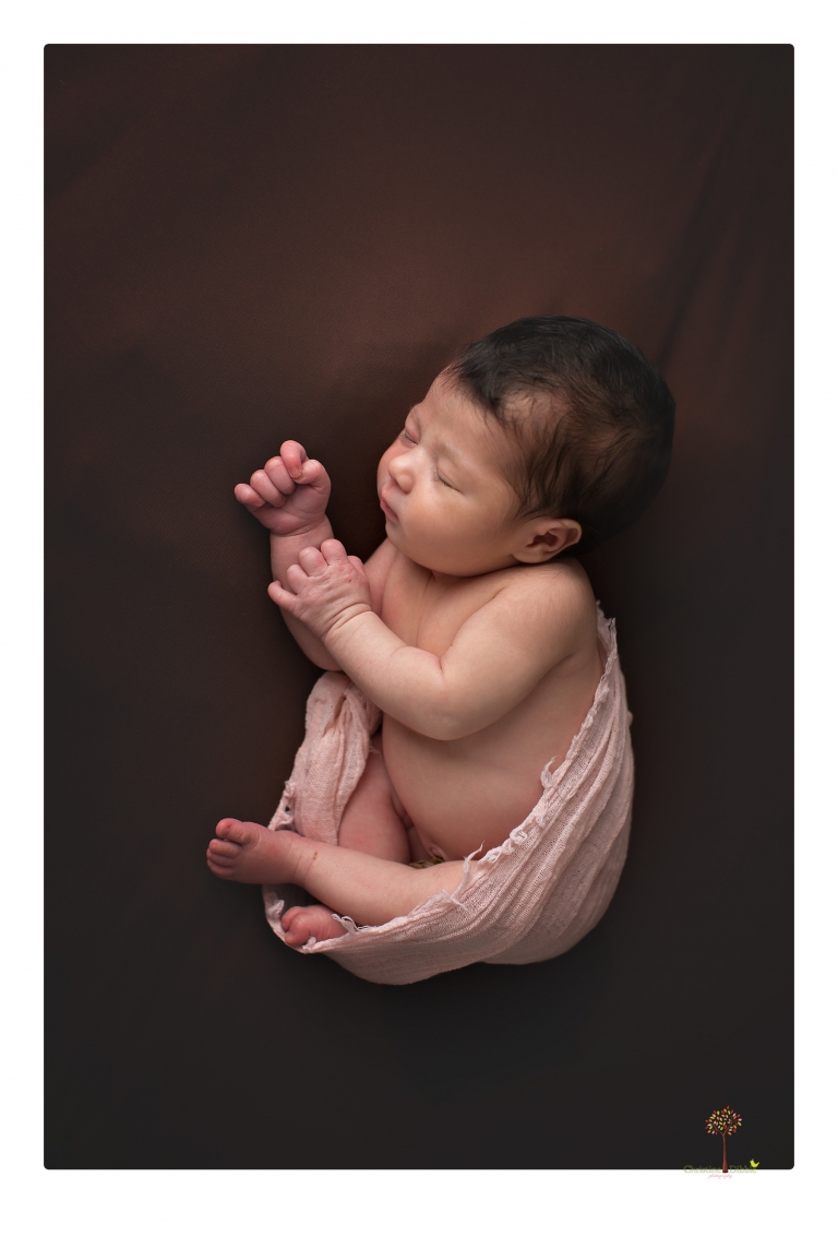 Sonora Newborn Photographer Christine Dibble Photography takes studio newborn portraits of babies using vintage props and linens.
