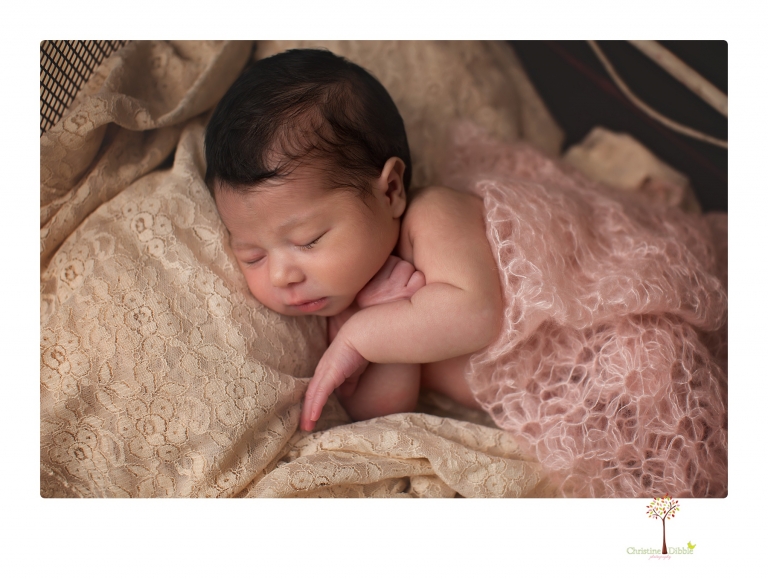 Sonora Newborn Photographer Christine Dibble Photography takes studio newborn portraits of babies using vintage props and linens.
