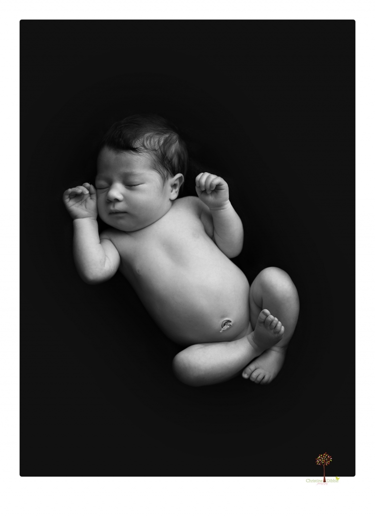 Sonora Newborn Photographer Christine Dibble Photography takes studio newborn portraits of babies using vintage props and linens.