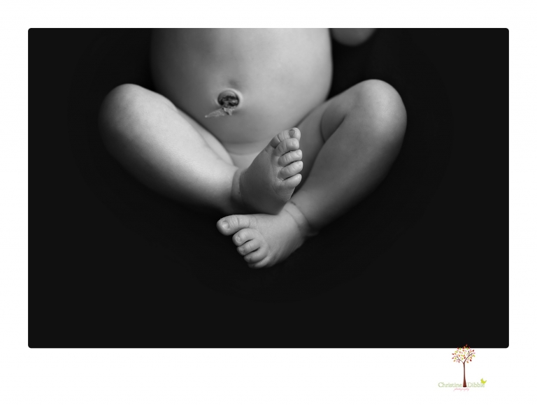 Sonora Newborn Photographer Christine Dibble Photography takes studio newborn portraits of babies using vintage props and linens.