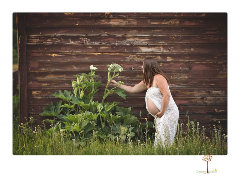 Sonora maternity photographer Christine Dibble Photography takes Long Barn maternity portraits in a field and woods of a mother-to-be and her family.