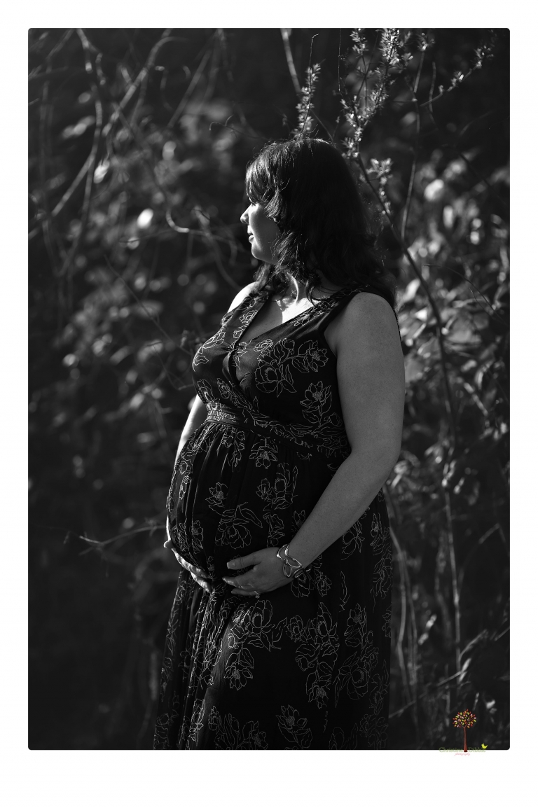 Sonora maternity photographer Christine Dibble Photography photographs a Knights Ferry maternity portrait session.