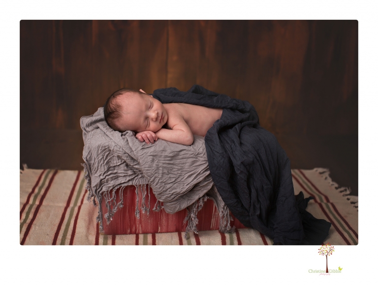 Sonora newborn photographer Christine Dibble Photography takes newborn portraits of a future Harley Davidson fan and his parents.