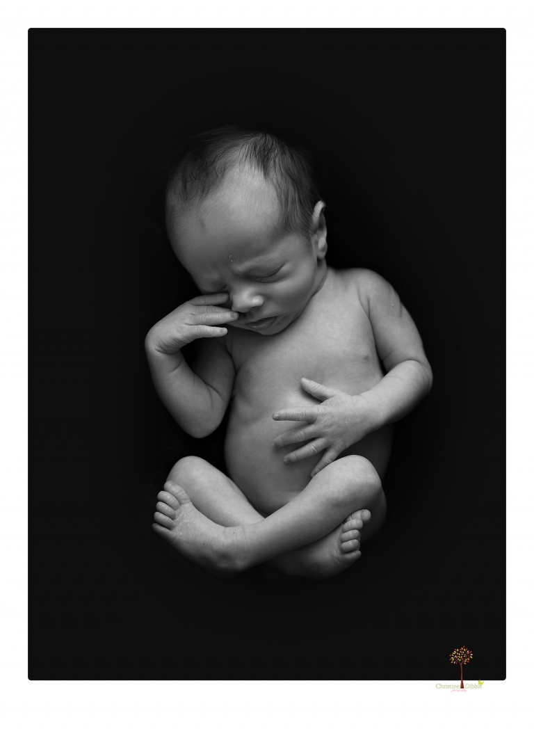 Sonora newborn photographer Christine Dibble Photography takes newborn portraits of a future Harley Davidson fan and his parents.