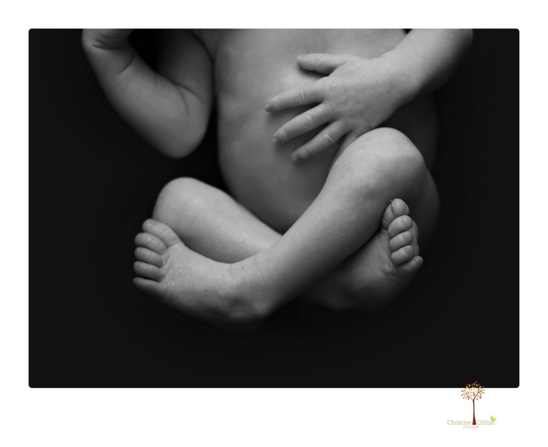 Sonora newborn photographer Christine Dibble Photography takes newborn portraits of a future Harley Davidson fan and his parents.