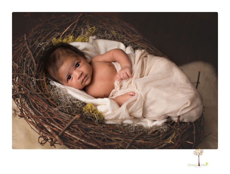 Sonora newborn photographer Christine Dibble Photography takes newborn family portraits of a baby boy and his parents and grandmother.